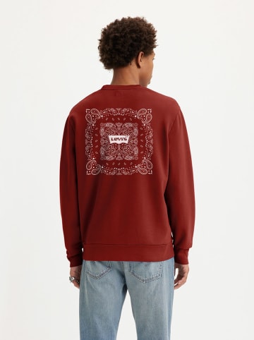 Levi´s Bluza w kolorze bordowym