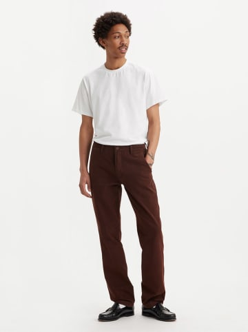 Levi's Chino in Braun