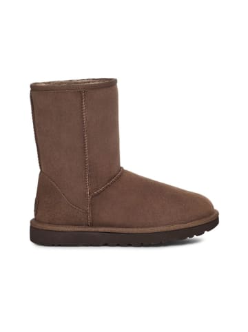 UGG Leder-Boots "Classic Short II" in Braun