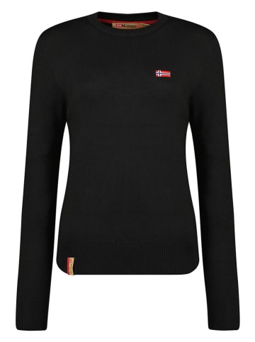 Geographical Norway Sweter "Fabrizia" w kolorze czarnym