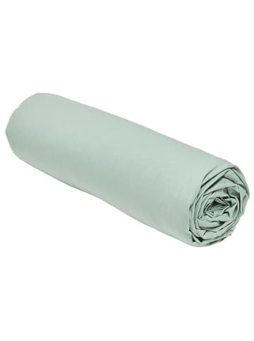 Today Spannbettlaken ''Essential'' in Mint