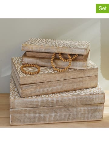 Today 3er-Set: Aufbewahrungboxen ''Mango Wood'' in Beige/ Weiß