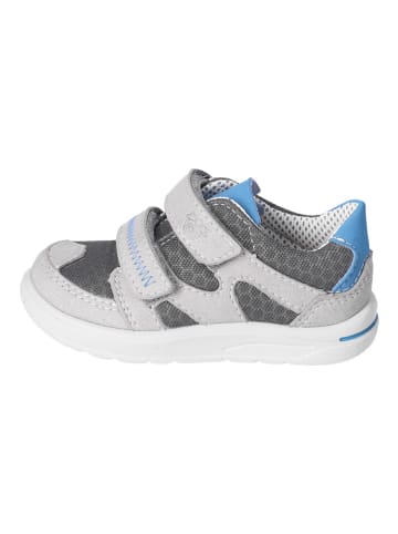 PEPINO Sneakers in Grau