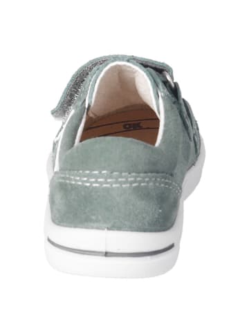 PEPINO Leder-Sneakers in Grau