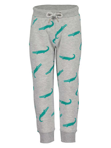 Blue Seven Sweathose in Grau
