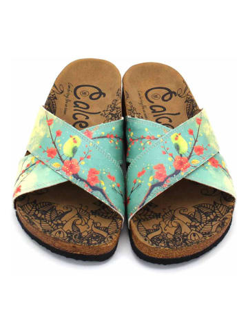 Calceo Slippers meerkleurig