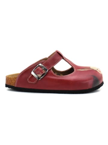 Calceo Clogs in Rot/ Creme