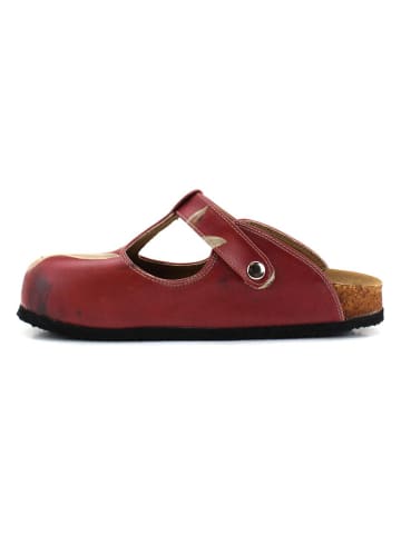 Calceo Clogs in Rot/ Creme