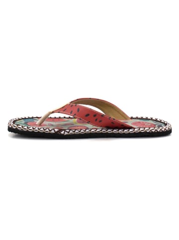 Calceo Teenslippers meerkleurig