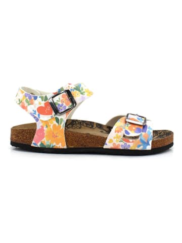 Calceo Sandalen meerkleurig/wit