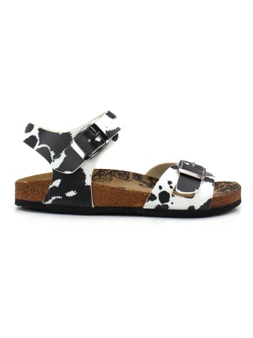 Calceo Sandalen in Weiß/ Schwarz