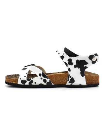 Calceo Sandalen wit/zwart