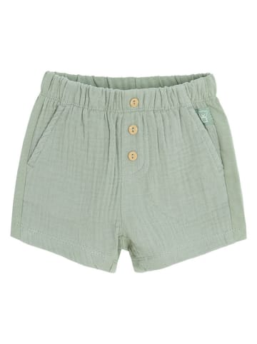 COOL CLUB Shorts in Grün