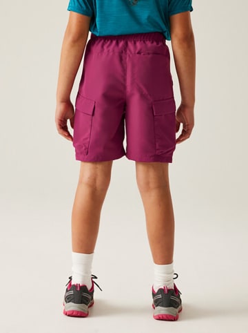 Regatta Trainingsshort "Sorcer III" paars