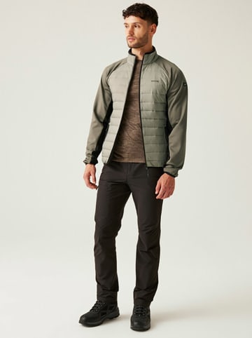 Regatta Hybride jas "Clumber IV" kaki