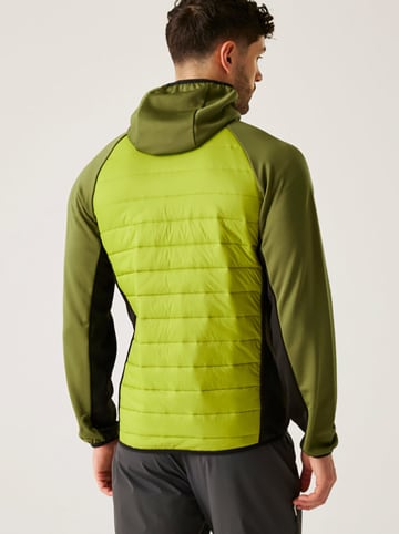 Regatta Hybridjacke "Andreson VIII" in Grün/ Schwarz