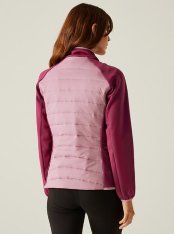 Regatta Hybridjacke "Clumber V" in Rosa/ Lila