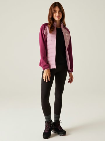 Regatta Hybridjacke "Clumber V" in Rosa/ Lila