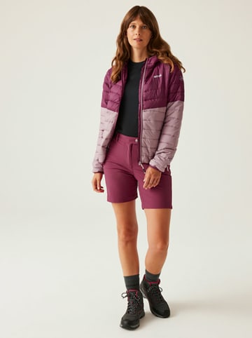 Regatta Steppjacke "Hillpack IV" in Lila/ Rosa