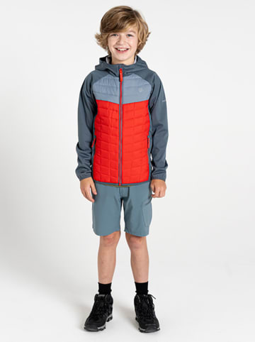 Dare 2b Hybridjacke "Explore II" in Rot/ Grau