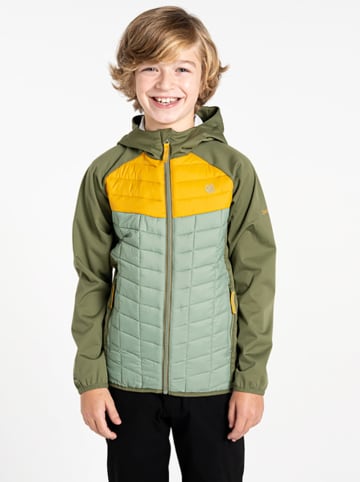 Dare 2b Hybride jas "Explore II" groen/geel