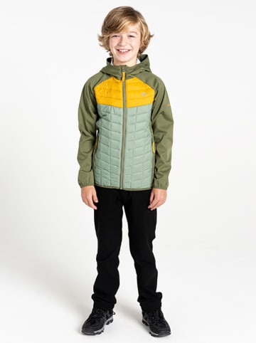 Dare 2b Hybride jas "Explore II" groen/geel