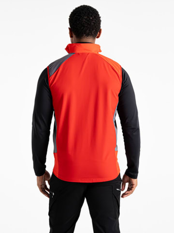 Dare 2b Softshellbodywarmer "Lattitudin lIII" rood