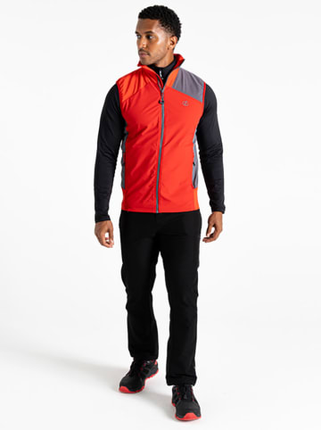 Dare 2b Softshellbodywarmer "Lattitudin lIII" rood