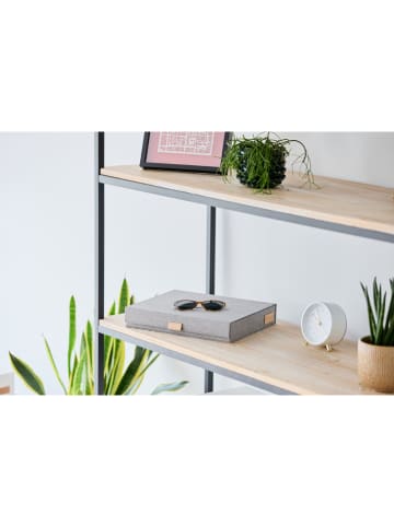 STORE IT Pudełko "Premium" w kolorze szarym na okulary - 32 x 5,5 x 25 cm