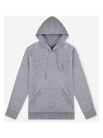 Basiclo Hoodie in Grau