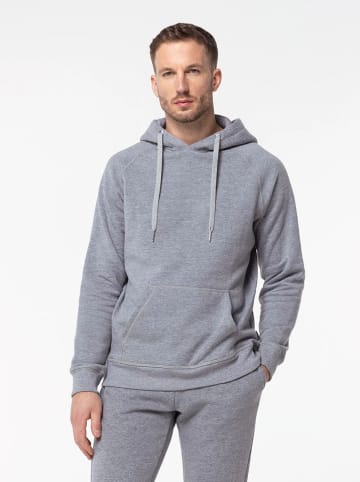 Basiclo Hoodie in Grau