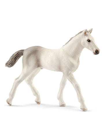 Schleich Speelfiguur "Holsteiner Veulen" - vanaf 3 jaar