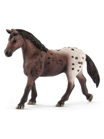 Schleich Speelfiguur "Appaloosa Merrie" - vanaf 5 jaar