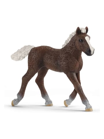 Schleich Speelfiguur "Schwarzwälder Veulen" - vanaf 3 jaar