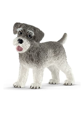 Schleich Figurka "Miniature schnauzer" do zabawy - 3+