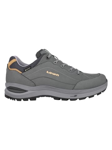 LOWA Leder-Wanderschuhe "Renegade Evo GTX LO Ws" in Grau