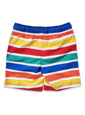 Toby Tiger Badeshorts in Bunt