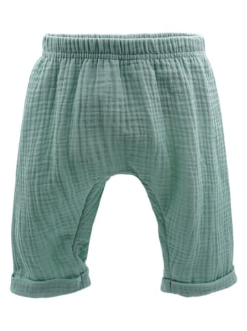 MaxiMo Hose in Grün