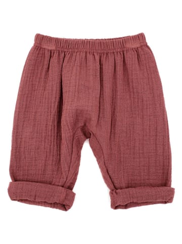 MaxiMo Hose in Rot