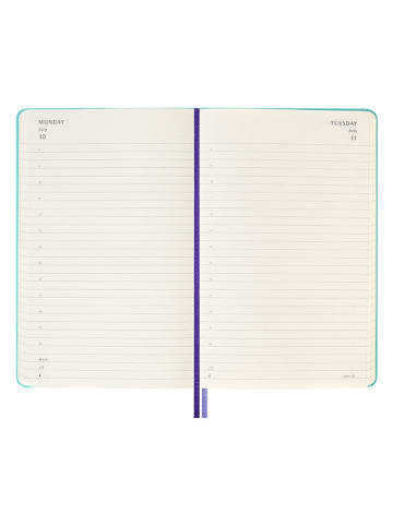 Moleskine Dagagenda "2025" lichtblauw - (B)13 x (H)21 cm