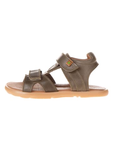 El Naturalista Leren sandalen bruin