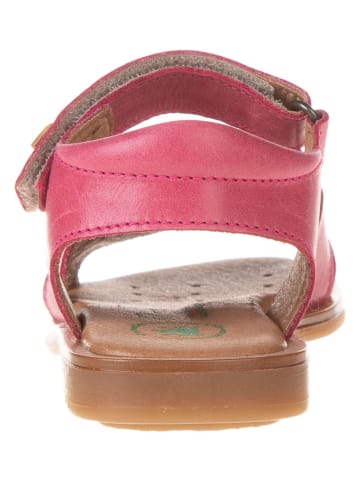 El Naturalista Leder-Sandalen in Pink