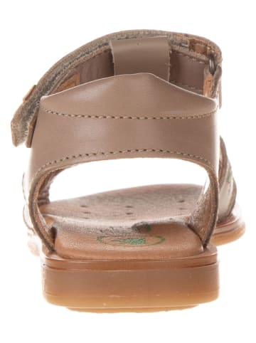 El Naturalista Leren sandalen lichtbruin