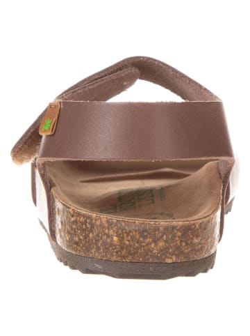 El Naturalista Leder-Sandalen in Braun