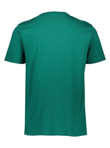 cavalli CLASS Shirt groen