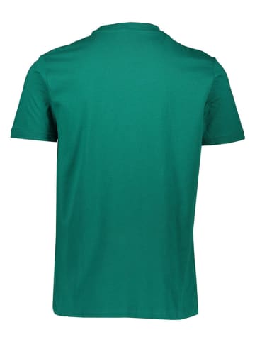 cavalli CLASS Shirt in Grün