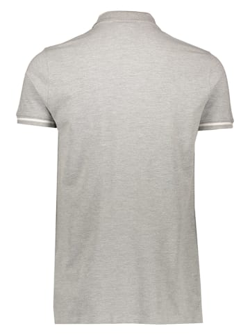 cavalli CLASS Poloshirt in Grau