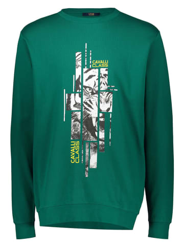 cavalli CLASS Sweatshirt in Grün