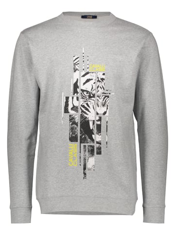 cavalli CLASS Sweatshirt in Grau