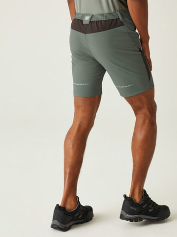 Regatta Funktionsshorts "Mountain II" in Khaki